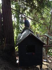 The Trevor on the roof